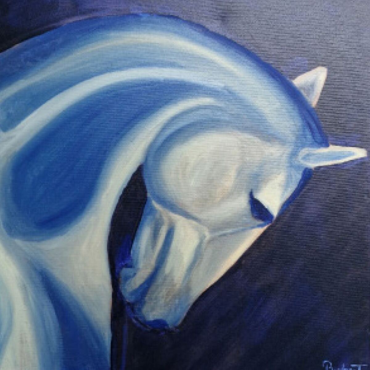 Ghost shadow